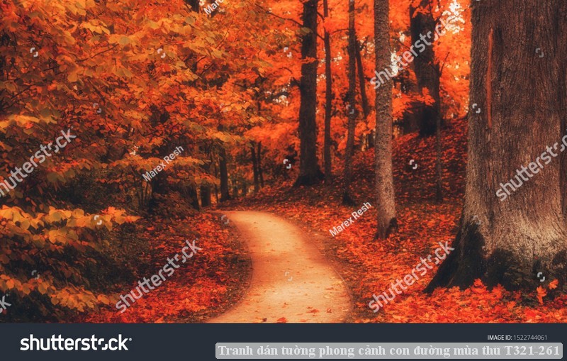 Tranh dán tường phong cảnh con đường mùa thu T321-261